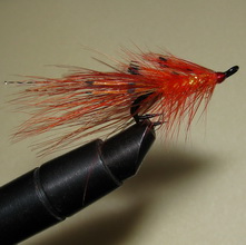 �������� ���� Shrimp  General  Practitioner (�������  Kamasan Salmon black)  � 6 